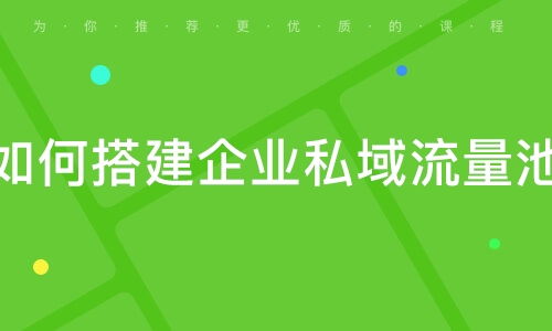深圳飛橙教育怎么樣 深圳飛橙教育 課程價格